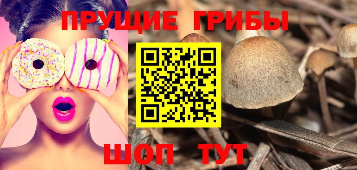 Истра  закладки  Вход с VPN  Галлюциногенные грибы прущие грибы  Псилоцибиновые грибы MAGIC MUSHROOMS 